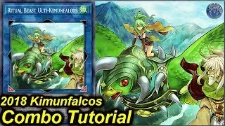 【YGOPRO】Ritual Beast Combo Tutorial 2018