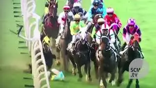 Horse racing accident