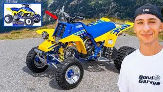 The 