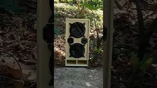 test zktb1 50+50+100 amplifier and the battery 20v 1a bass test outdoor?? 55% volume 🔥🔥