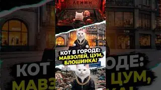 Москва за 72 часа: мавзолей, ЦУМ, барахолка. Итоги. 🐱