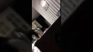 Son screams and scares mom