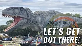 Let's Get Out There! | Toward Independence Weekly Update