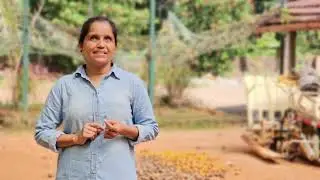 Geethas Home to Home | IISR | Prathibha Turmeric Powder | Curcumeal | First Drink | Geetha Saleesh
