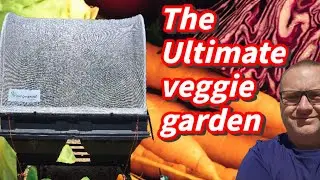 Even I can grow Veggies using a Vegepod!!