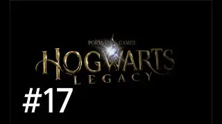 LIVESTREAM: Hogwarts Legacy #17 -no commentary- 100 % platinum [The Lost Child]