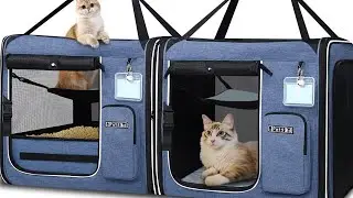 Road Trip Ready! 🚗 2-in-1 Double Cat Travel Carrier