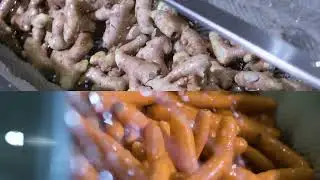 Full Ginger & Carrot Juice Processing Line | Industrial Machinery in Action