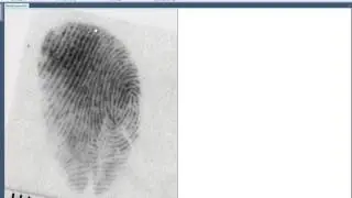Getting Started with Forensic Comparison Software