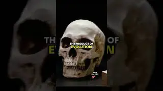 How The Anunnaki Genetically Upgraded Humanity.
