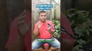 Perawatan Kacer Stres #kacer #birds #tipsperawatankacer