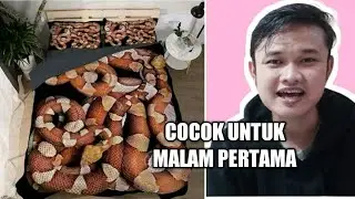 Sprei Ular Cocok Untuk Malam Pertama