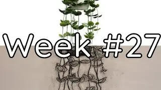 String of Nickels House Plant Charcoal Drawing | Calvin's Charcoal Drawing Week #27 of 50
