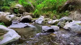 Soothing River Sounds for Meditation | Gentle Water Flow Ambience