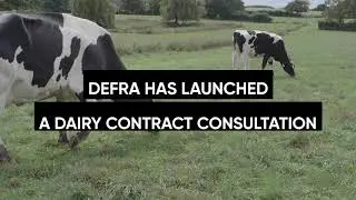 Dairy contracts consultation: Five key points for a contracts reform