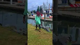 Scarborough Queensland Australia you watching amazing world 👌🌎🤩🇳🇿🦘