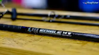 Gear | Edible Rod Combo