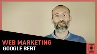 GOOGLE BERT aggiornamento dell'algoritmo cosa cambia nell'indicizzazione?