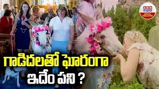 Donkey Marraige Ritual : గాడిదలతో ఘోరంగా ఇదేం పని ? || ABN Digital