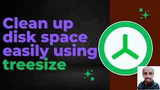 Clean up disk space easily using treesize app