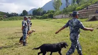 APF Dog Demostration 2072 Balambu Kathmandu.