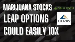 Best Marijuana Stocks 2022 could 10x from Oversold Levels!  Leap Options could give higher returns!