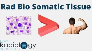 Radiation Biology for Somatic Tissue (organ tissue response radiosensitivity)