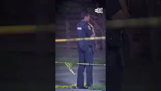 Gunman arrested after man pressure washing near restaurant killed: HPD