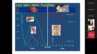 Giải phẫu sinh lý ( buổi 2) cô Hà . 11/12/2025. Y19HIK - CT3 Lê Hữu Trác