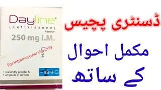 Dayline 250 mg  Injection | Ceftrixone, Antibiotics, Fever  skiininfection