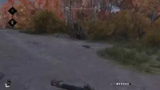 I Love Traps
