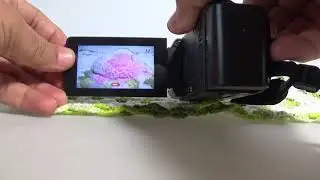 Filmadora jvc GZ-HM450  hdmi limpa live