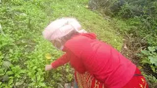 Girl picking vegetables to eat in winter - My Free Life 5.0