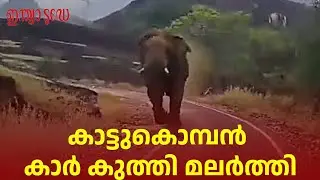 തമിഴ്&zwnj;നാട്ടിൽ കാട്ടുകൊമ്പൻ കാർ കുത്തി മറിച്ചു| ELEPHANT ATTACK VIDEO| WILD TUSKER ATTACKING CAR