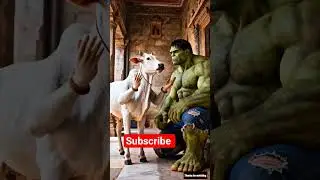 halk ki video