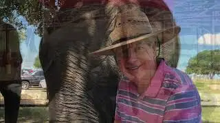 The Preserve - Elephant Experience