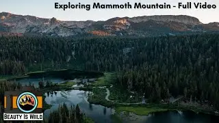 Top 5 Summer Activities in Mammoth Mountain: Full Adventure Guide
