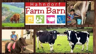 Visit to Hahndorf Farm Barn