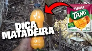 Paca  vem de longe para a sua ceva em apenas 1 dia com esta Dica