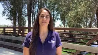 Wetlands Conservation Tips