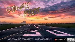 VFR Flight. Florida. C-172. Birds on the Runway. Визуальный полет В США над Флоридой. Птицы на ВПП