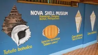 Музей Nova Shell - Туры на Бохол - Туристическое агентство WOW Philippines