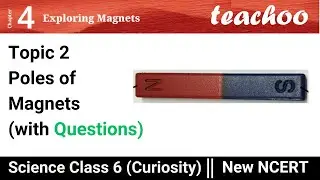 Chapter 4 Class 6 Science - Curiosity - Topic 2 - Poles of Magnets (NCERT Questions)