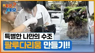 ubc 윱씨 / 네모세모 312회 [부산 &ndash; 가족 취향 저격 이색 체험 열전]