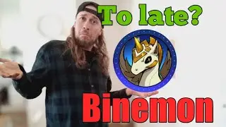 Binemon is dead (watch before you invest)
