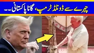 Donald Trump Duplicate in Pakistan