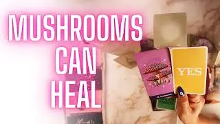 💘✨ Your Sexiness Is So Potent It's Lethal&ndash;The Healing They Crave From U Is A Gamble