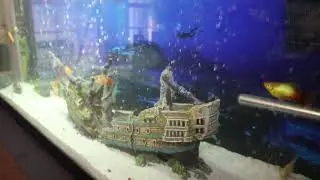 SAILBOAT OFFICE MAKEOVER - PART 3 (FISH TANK MAKEOVER)