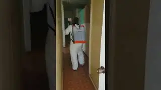 TermineX - Pest Control Operator