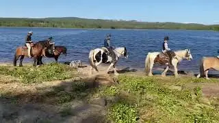Horseback Riding in Eksh&auml;rad, Sweden Our Little Farm